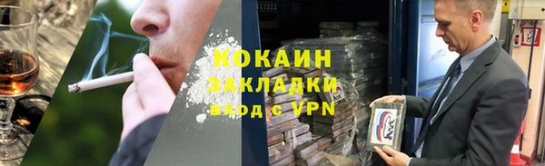 твердый Пересвет