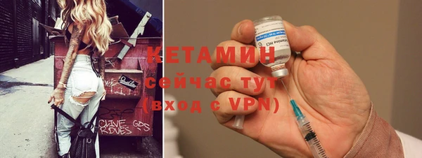 твердый Пересвет