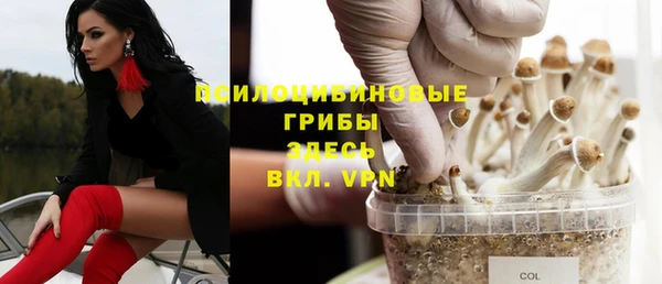 a pvp Пестово