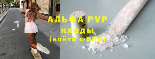 твердый Пересвет
