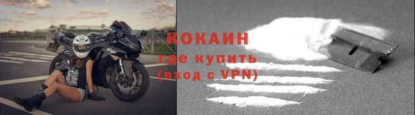 твердый Пересвет