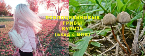 a pvp Пестово