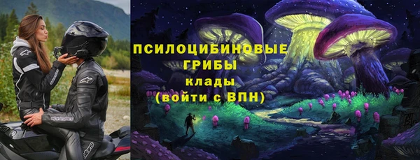 соль курить ск Михайловск