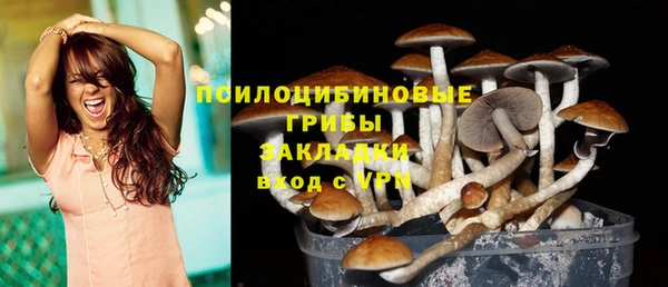 мет Переславль-Залесский