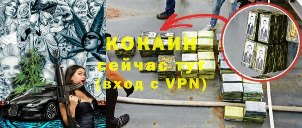твердый Пересвет