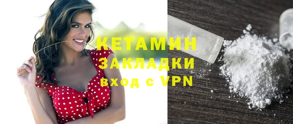 твердый Пересвет