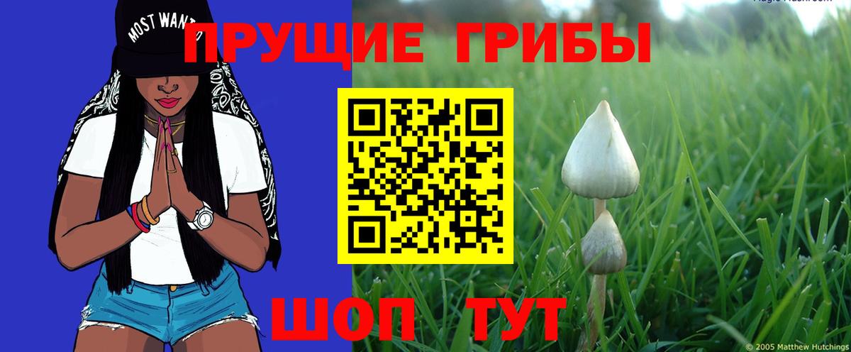 Корсаков  Псилоцибиновые грибы MAGIC MUSHROOMS  Галлюциногенные грибы MAGIC MUSHROOMS  Вход с VPN 